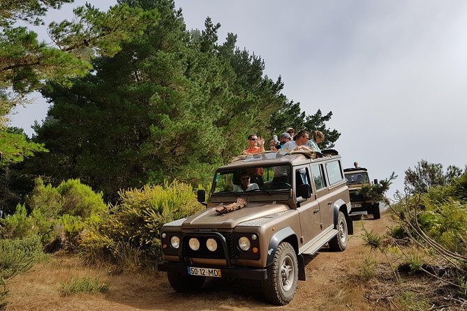 Arieiro Peak, Santo Serra, Cristo Rei in Open Roof 4x4 Experience - Stop 1 at Largo do Miranda S: your first wow over Funchal