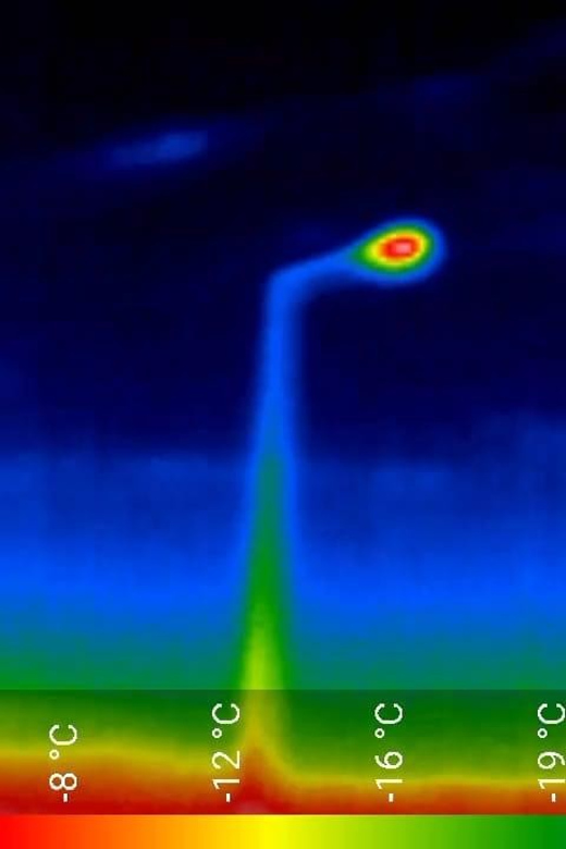 Bat Watching Madeira - Gear check: ultrasound detectors, thermal sensors, and what comes with you