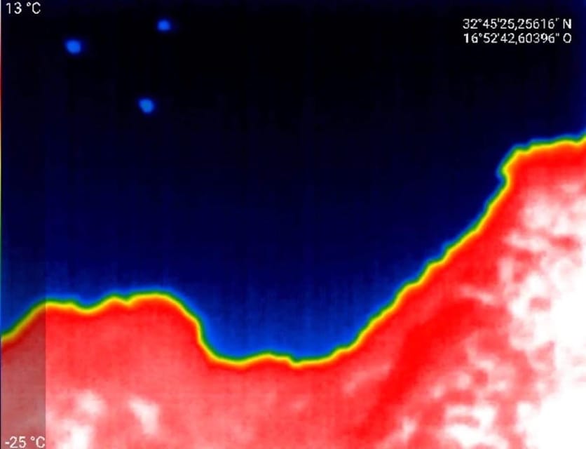 Bat Watching Madeira - The weather factor: pack warm layers and adjust expectations