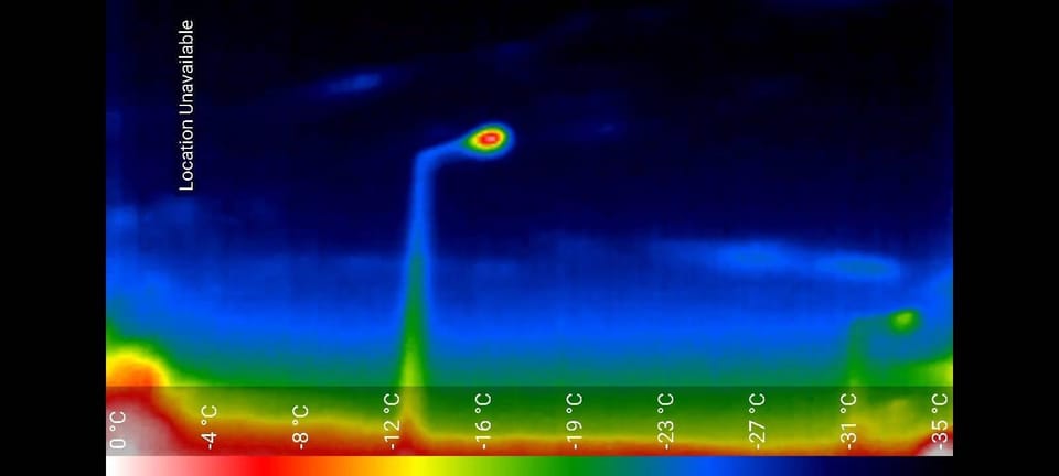 Bat Watching Madeira - Conservation impact: how a night out can support endangered bats