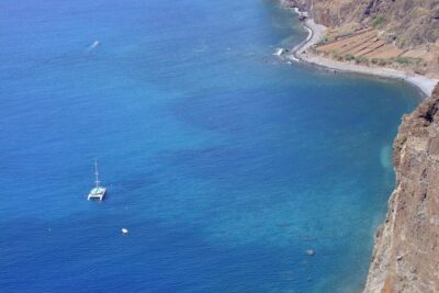 Catamaran Sunset Cruise from Funchal - Wildlife sightings: how to think about dolphins and whales