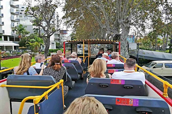 City Sightseeing Funchal Hop-On Hop-Off Bus Tour - Included Walks and Evening Tour: Historic Centre, Gardens, and Night Views