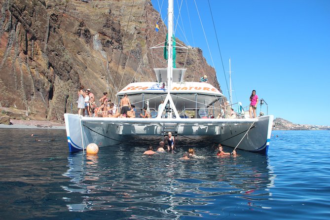 Dolphin and Whale Watching Catamaran Cruise from Funchal - Cabo Girão Swimming Stop: When It’s Worth Planning Around