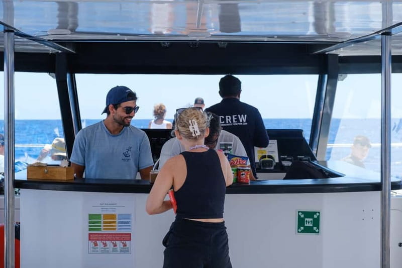 From Funchal: Ecological Catamaran Dolphin Whale Watching - Cruising Back Along Madeira’s South Coast: Câmara de Lobos and Churchill-Era Views