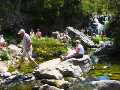 From Funchal: Madeira Lakes Levada Guided Hike - Getting to Levada do Alecrim: Pickup, Timing, and Meeting Spots