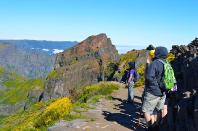 From Funchal: Madeira Peaks Mountain Walk - On the Trail: Steps, Metal Stairs, and Views Almost Every Turn