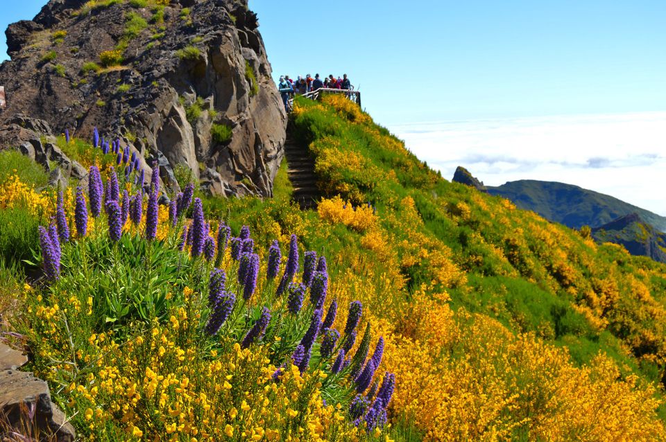 From Funchal: Madeira Peaks Mountain Walk - Pico Ruivo Summit Time: Where the View Takes Over
