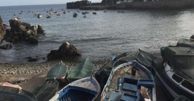 From Funchal: West Madeira and Laurel Forest Day Trip - Pickup and Timing: The Long Day Tradeoff