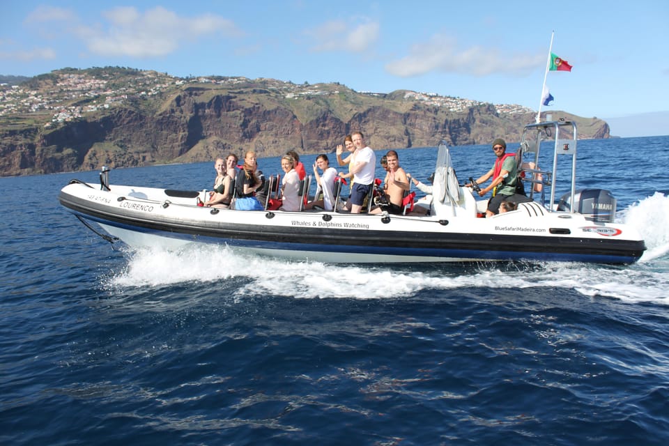From Funchal: Whales and Dolphin Adventure Tour - Comfort, Waves, and How to Avoid a Miserable Ride