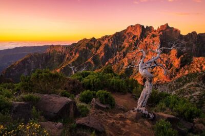 Full Day Madeira Island Tour - Open Roof - Hotel pickup and the open-roof 4x4 ride (what it’s like in practice)