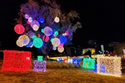Funchal: Christmas Lights Sightseeing Night Tour - The open-top VW Beetle: fun factor, comfort limits, and wind reality