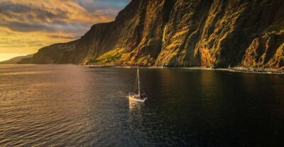 Funchal: Dolphin and Whale Watching Sunset Sailing Tour - Wildlife Searching: How the Dolphin and Whale Hunt Actually Feels