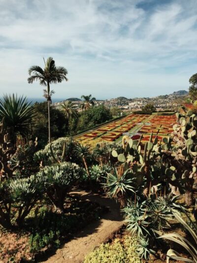 Funchal: Guided Old Town Tuk Tuk Tour and Botanical Gardens - Rua Ferrão Ornelas and the Sé Catedral area