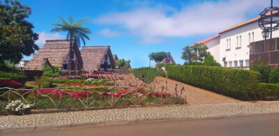 Funchal Private 4-Seater VIP Mercedes / 8-Seater Minibus - Mercedes comfort vs 8-seater minibus (and wheelchair access)