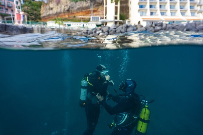 Funchal: Scuba Diving Experience for Beginners - Underwater Gear and Comfort: What’s Provided, What You Should Bring