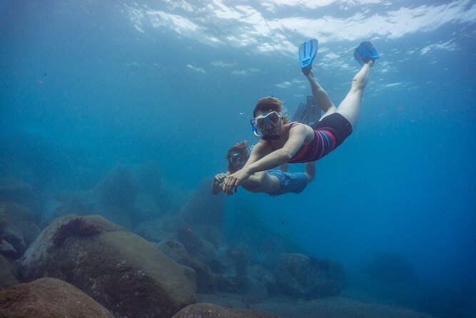 Funchal: Snorkeling Adventure in Eco-Park / Shore or by Boat - Key things that make this snorkeling experience worth your time