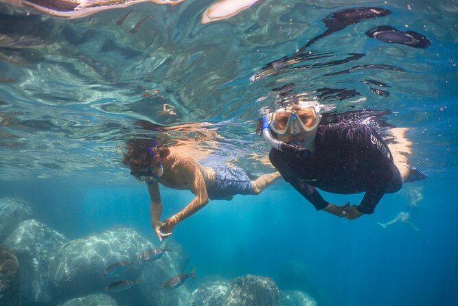 Funchal: Snorkeling Adventure in Eco-Park / Shore or by Boat - Where You Start in Funchal: Pestana Carlton and the Quick Path to the Water