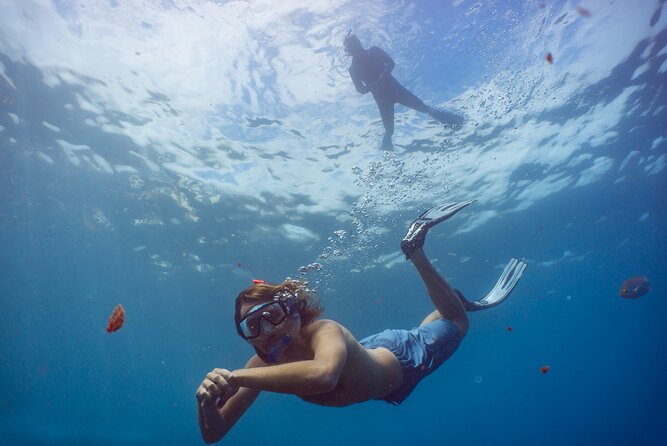 Funchal: Snorkeling Adventure in Eco-Park / Shore or by Boat - Two Ways to Snorkel: House-Reef Self-Guided vs Protected Reserve Boat