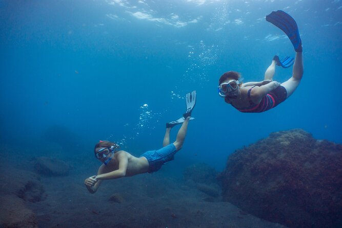 Funchal: Snorkeling Adventure in Eco-Park / Shore or by Boat - What You’ll See Underwater Around Madeira
