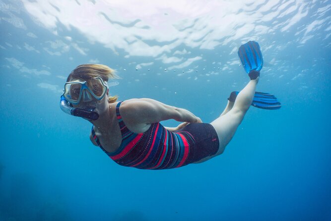 Funchal: Snorkeling Adventure in Eco-Park / Shore or by Boat - Gear, Wetsuit Options, and How Long You’ll Feel Comfortable