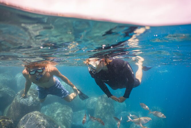 Funchal: Snorkeling Adventure in Eco-Park / Shore or by Boat - Price and Value: Why About $17 Can Feel Like a Bargain