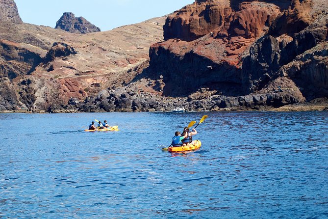 Kayak Experience @ Ponta de São Lourenço - From caves to wildlife: how to enjoy the natural reserve