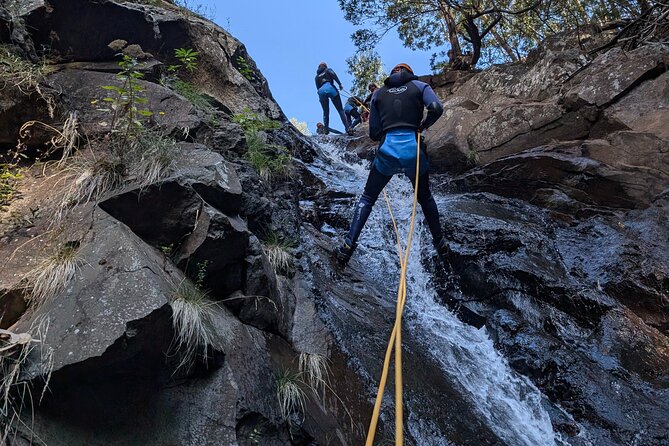 Level 2 - Canyoning Adventure - Intermediate | Funchal - Price and value: what $95.34 gets you for three hours