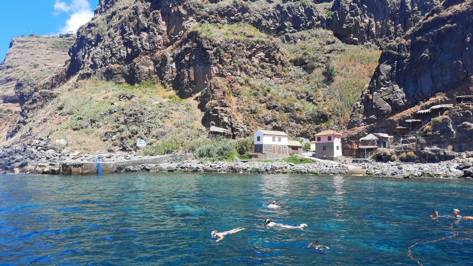 Madeira: Boat Trip with Lunch, Drinks, and Hotel Transfer - The cruise portion: waves, views, and marine life that can show up close