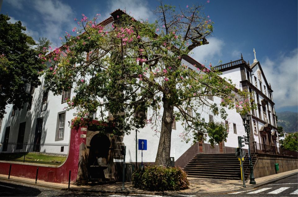 Madeira: Customized 3, 4 or 6-Hour Tour - Botanical Garden and Extra Options: Fajã dos Padres, Garajau, and Swimming Pools
