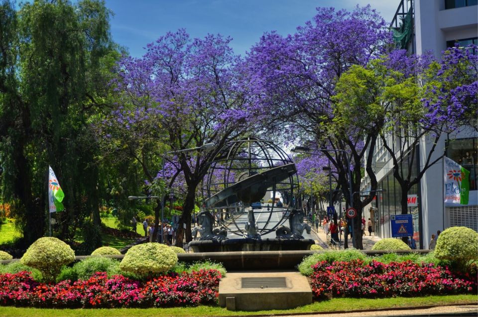 Madeira: Customized 3, 4 or 6-Hour Tour - Who This Tour Is Best For (and Who Should Rethink It)
