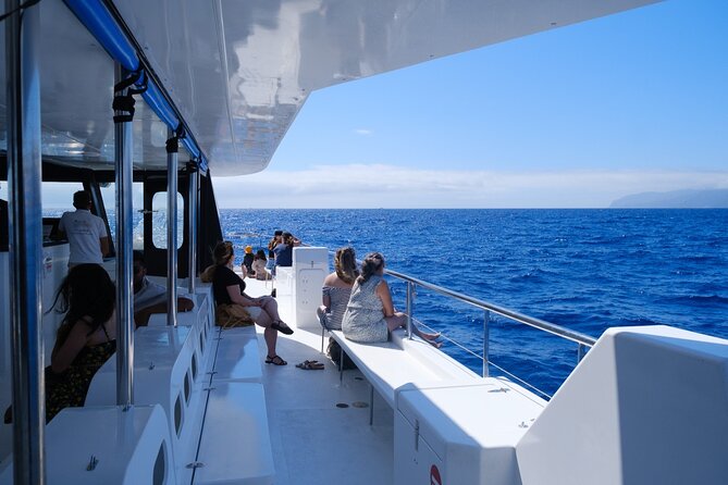 Madeira Dolphin and Whale Watching on a Ecological Catamaran - On-Board Guides and Safety: How You Get Value Beyond Sightings