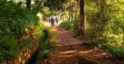 Madeira: Paradise Valley Levada Walk - Getting to the trailhead from Funchal (and beyond)