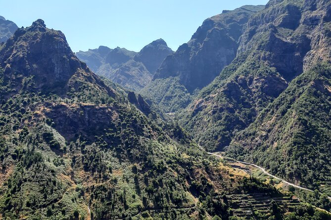 Madeira: Private Laurisilva Tour - Key things you’ll notice on this Madeira Laurisilva tour
