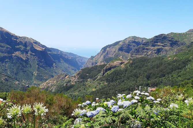 Madeira: Private Laurisilva Tour - Following the water: what you learn on Madeira’s levadas