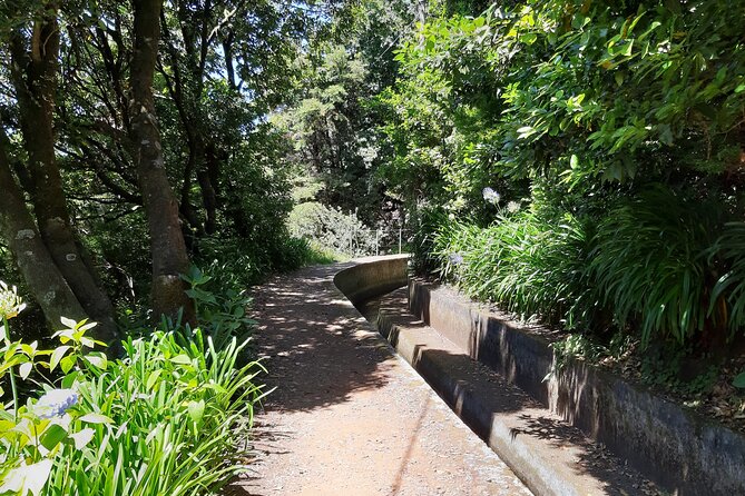 Madeira: Private Laurisilva Tour - The short Laurisilva walk: what to look for in UNESCO forest