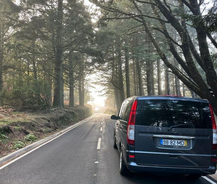 Madeira: Western Madeira Guided Trip & Fanal Mystic Forest - Seixal and Véu da Noiva: dramatic coastline, then a waterfall finish