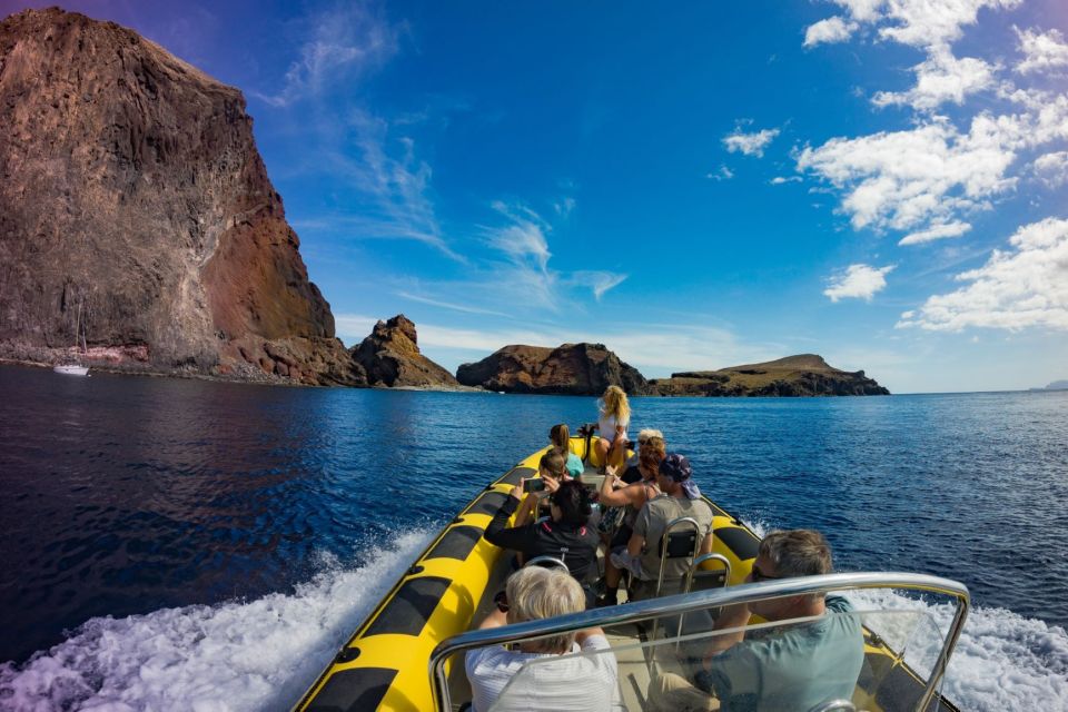 Madeira: Whale and Dolphin Watching Tour - Quick hits: what makes this tour worth your time