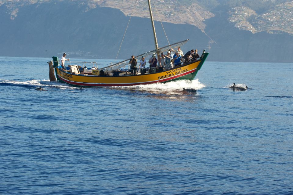 Madeira: Whale Watching Excursion in a Traditional Vessel - Key things to know before you go