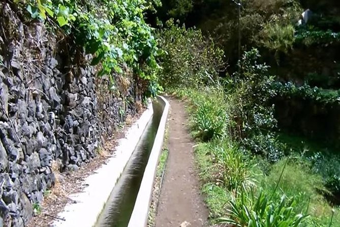 Mimosa Valley Walk - Why the Mimosa Valley levada walk feels easy