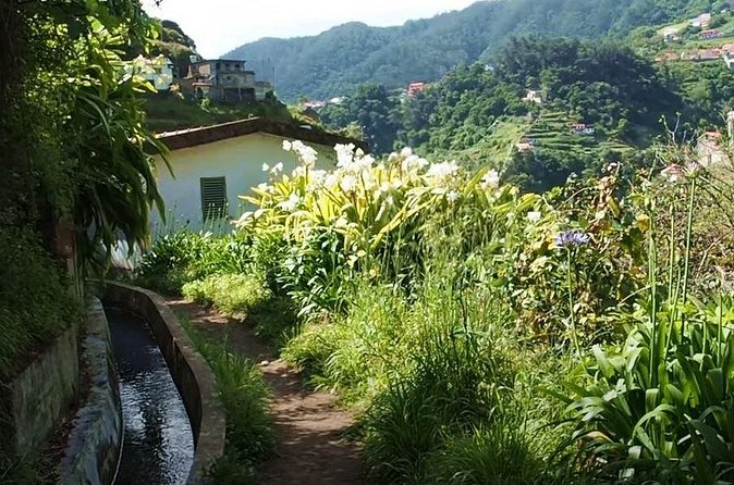 Mimosa Valley Walk - Should you book the Mimosa Valley Walk?