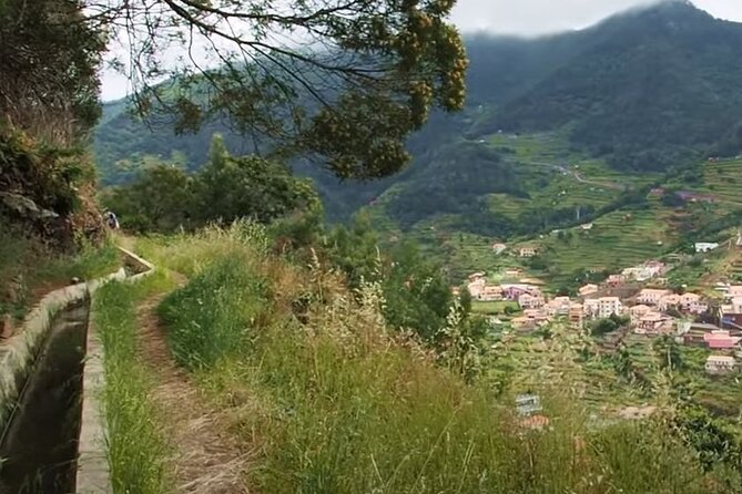 Mimosa Valley Walk - What you’ll see on the walk: mimosas, farmers, and irrigation water