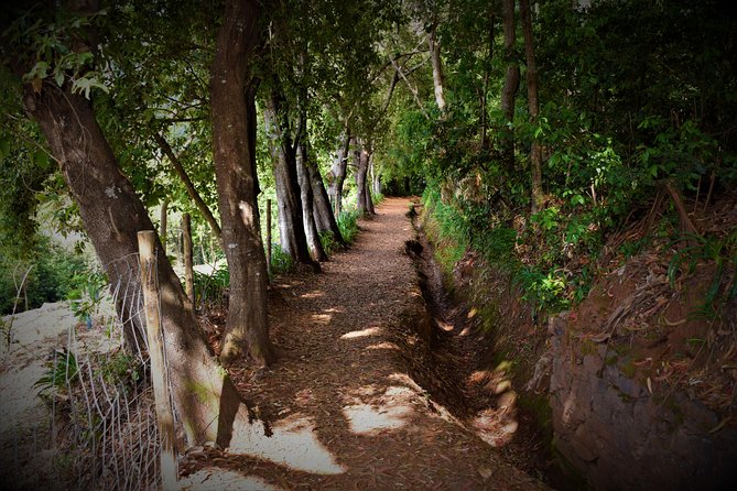 Paradise Valley Beauty Walk - Guide Quality: When Flora and Fauna Become the Main Event