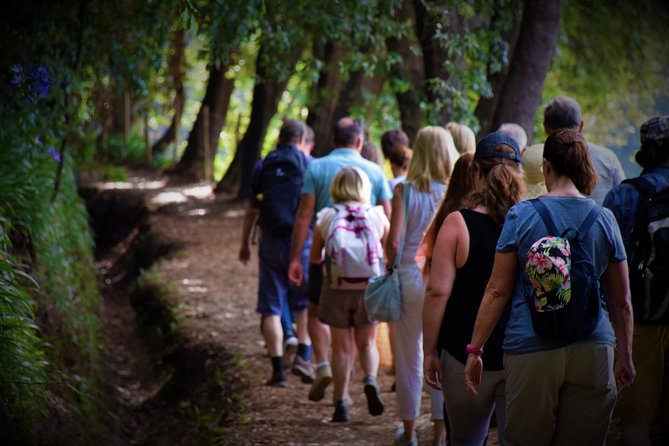 Paradise Valley Beauty Walk - Who This Tour Fits Best (and Who Might Want Something Different)