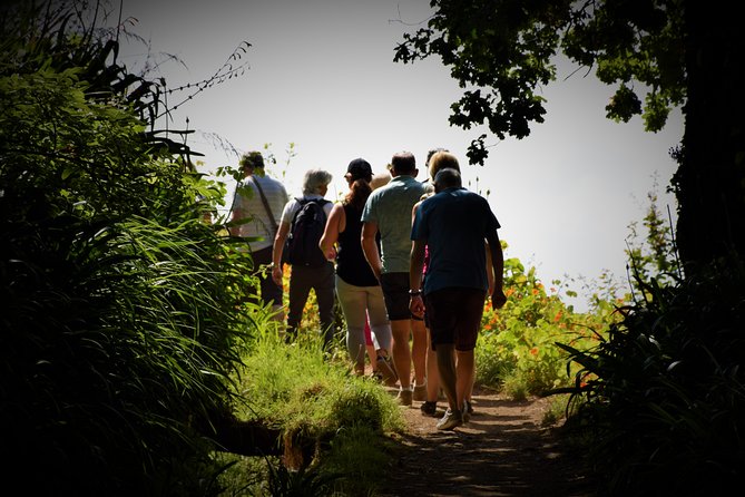 Paradise Valley Beauty Walk - Vale do Paraíso to Rochão: What the Walk Feels Like