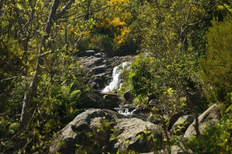 Pico do Arieiro - Stairway to Heaven Hike - Sunrise Option - Driver Waiting Time and Shared Transfer: Why This Matters More Than You Think