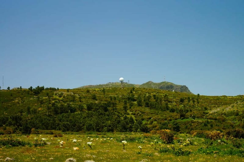 Pico do Arieiro - Stairway to Heaven Hike - Sunrise Option - The 3€ Forest Fee (IFCN): A Small Cost, but It Needs a Plan