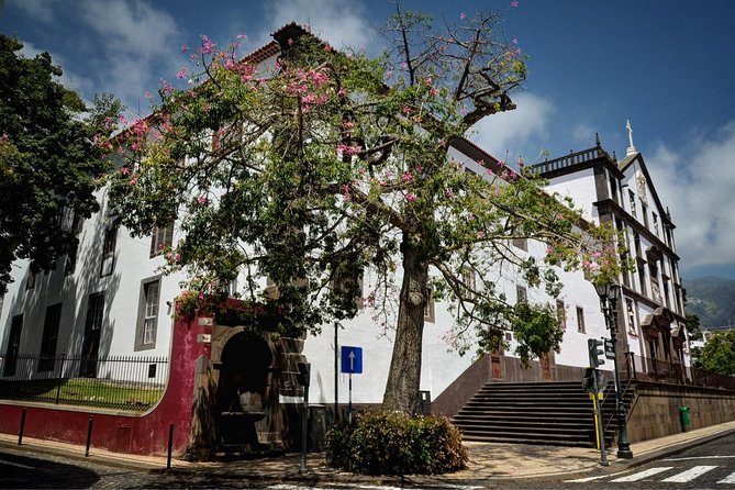 Private Funchal City Tour by Tukxi - What’s Included (and What Isn’t) in This Private 90-Minute Ride