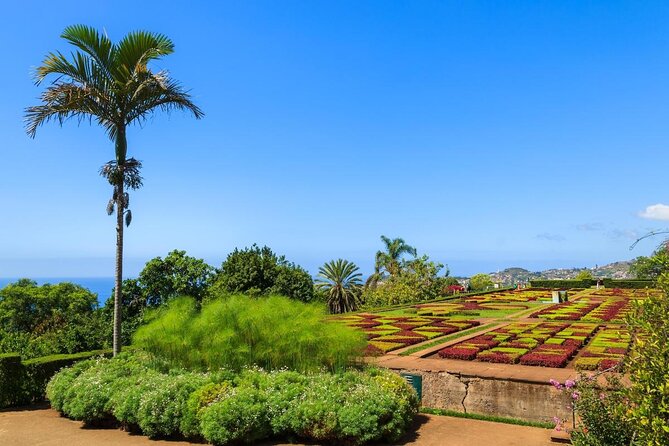 Private Half day tour around Madeira Island - Key highlights worth planning around