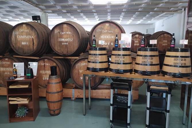 Private Half-Day Tour of Wine Fields in Portugal - Group Size and Who This Tour Fits Best