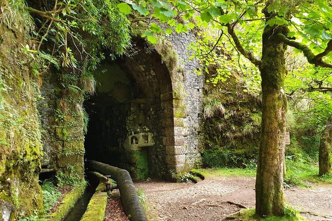 Rabaçal - 25 Fonts - What the guide teaches as you walk the levada